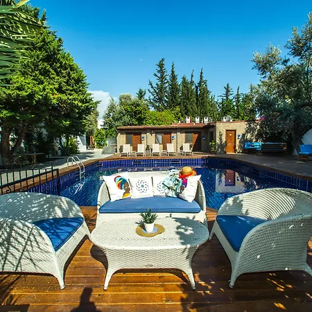 酒店 博德鲁姆中心酒店 博德鲁姆