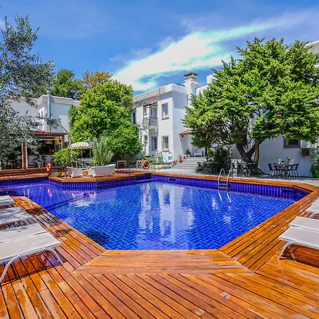 Hotel Centro 3*