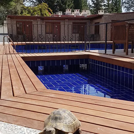 酒店 博德鲁姆中心酒店 3*