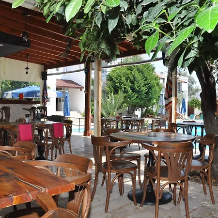 酒店 博德鲁姆中心酒店 3*