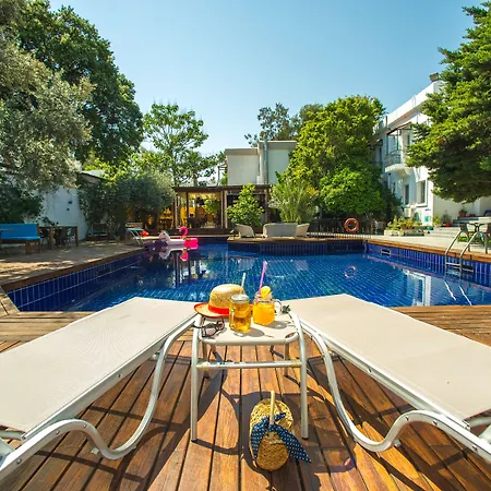 酒店 博德鲁姆中心酒店 博德鲁姆