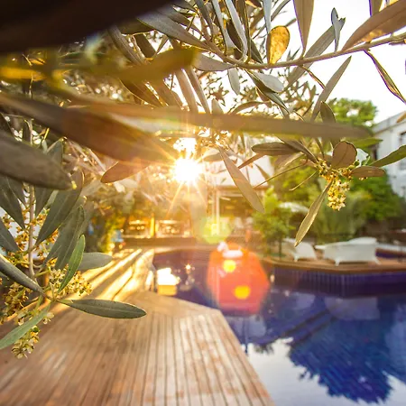 博德鲁姆中心酒店 酒店 博德鲁姆