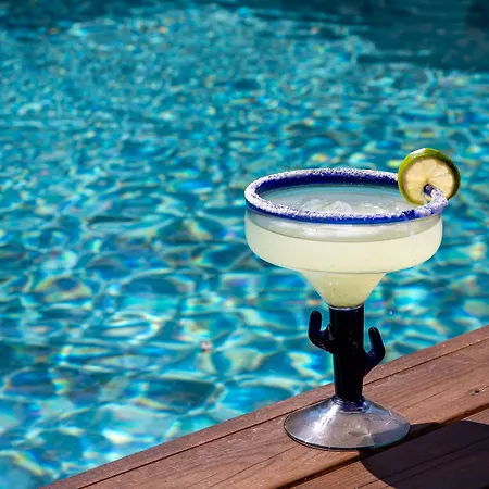 酒店 博德鲁姆中心酒店 博德鲁姆