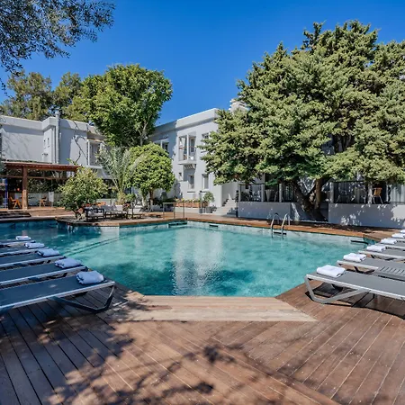 酒店 博德鲁姆中心酒店 3*